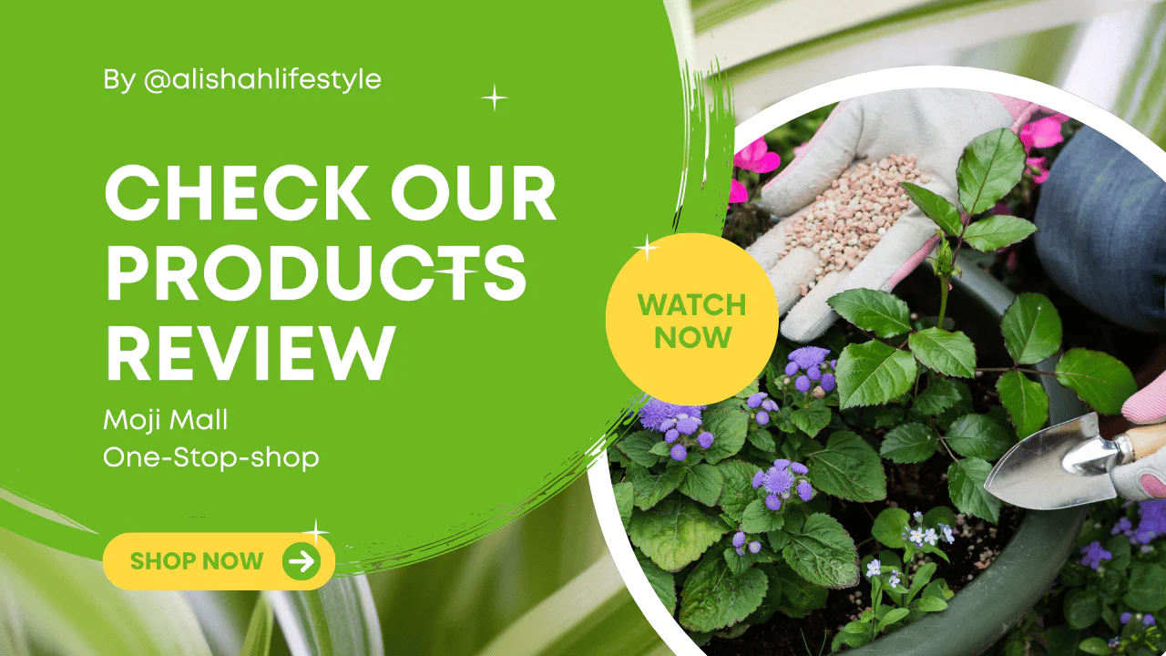 Welcome to Our Store